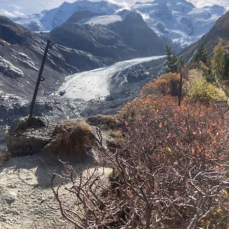 Swiss Me Up! * Pontresina