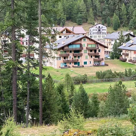 Swiss Me Up! * Pontresina